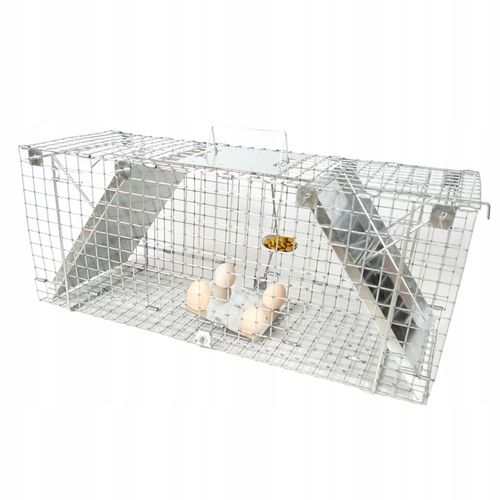 ŻYWOŁAPKA PUŁAPKA NA KUNY SZCZURY ŁASICE NORKI TCHÓRZE ŁASKI ŁAPKA na Arena.pl