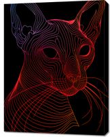 Obraz 70x90cm Cyfrowa Kocica