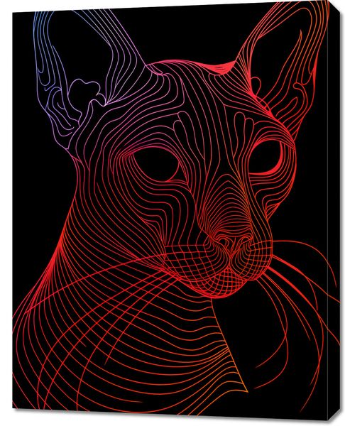 Obraz 70x90cm Cyfrowa Kocica zdjęcie 1