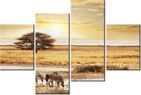 product-compare-58706150