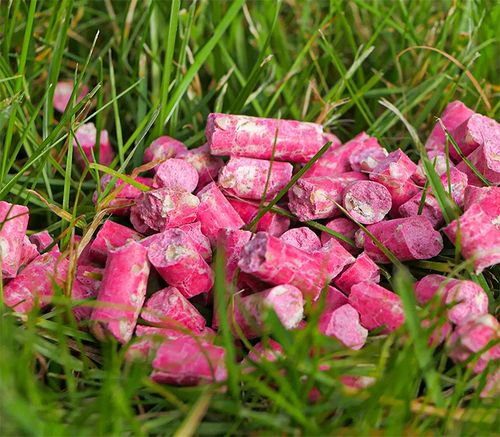 STRONG SILNA TRUTKA PRZYNĘTA GRANULAT NA MYSZY I SZCZURY BROMADIOLON 5 na Arena.pl