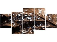 70CM 150CM OBRAZ 5 ELEM WCZESNA JESIEŃ JENNY DOWNING ŚCIENNY