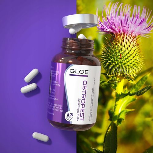 GLOE OSTROPEST PLAMISTY 300mg Sylimaryna 70% Wsparcie WĄTROBY SERCA 90kaps na Arena.pl