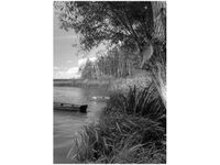 product-compare-58710682