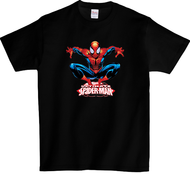 Koszulka T-shirt SpiderMan zdjęcie 1