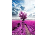 OBRAZ FIELD&TREE POLE DRZEWO KOLORY