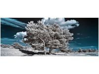 100X40CM SILNE DRZEWA OBRAZ DREWNO