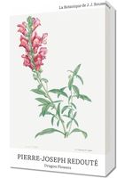 Obraz 30x50cm Design Dragon Flowers, Redoute Vintage do Salonu