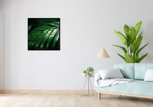 Plakat 70x70cm Żywa Łagodność na Arena.pl