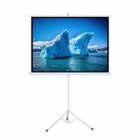 Ekran Ręczny Na Statywie 118" 213X213Cm Ta-84 1:1 Art