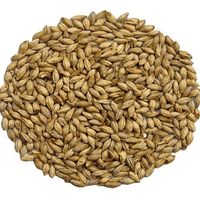 Słód Carared (R) 40-50 EBC Weyermann (R) - 1 kg