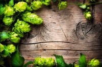 Tło fotograficzne Produktowe FLAT LAT Kulinarne