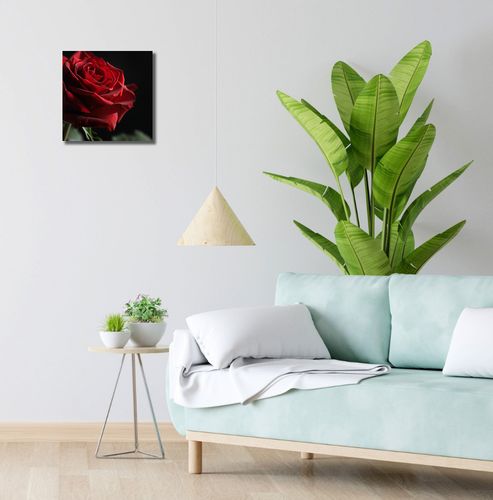 Obraz 30x30cm Róża w Półcieniu na Arena.pl