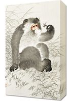 Obraz 30x50cm Monkey with Insect, Koson Japoński Vintage do Salonu