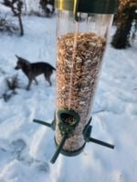 Karma zimowa  dla ptaków na zimę ze słonecznikiem 1 kg