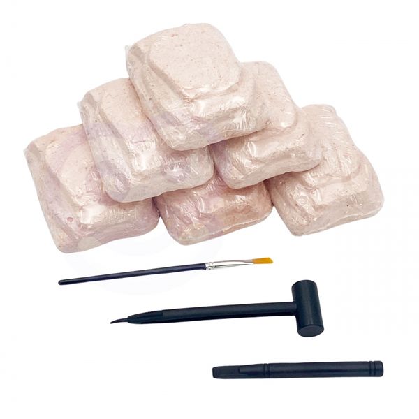 WOOPIE Wykopaliska Dinozaurów 6 Losowych Figurek Szkieletów Dinozaurów zdjęcie 3