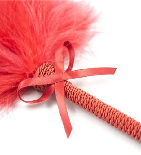 Zmysłowe piórko do łaskotania na Arena.pl