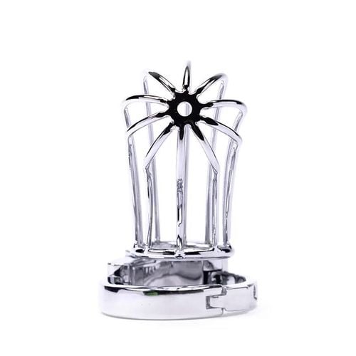 Stainless Steel Penis Cage 2 With Advanced Locking Mechanism na Arena.pl