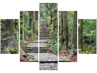 OBRAZ JAPOŃSKA ŚCIEŻKA PRZEZ LAS