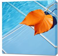 Obraz 70x70cm Liść przy Wodzie