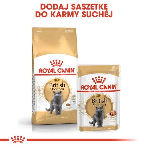 Karma dla kotów rasy brytyjski krótkowłosy Royal Canin OCHRONA STAWÓW 4kg na Arena.pl