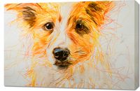 product-compare-59494146