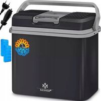 Lodówka Termoelektryczna z Funkcją Grzania Chłodzenia Lodówka do Samochodu