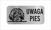 GRAWER Tabliczka nierdzewna laminat 20x10 UWAGA PIES havana-bichon