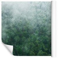 Fototapeta 3D Las we Mgle Zieleń do Salonu 90x60