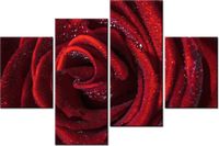 140CM 70 OBRAZ BORDOWA RÓŻA ŚCIENNY