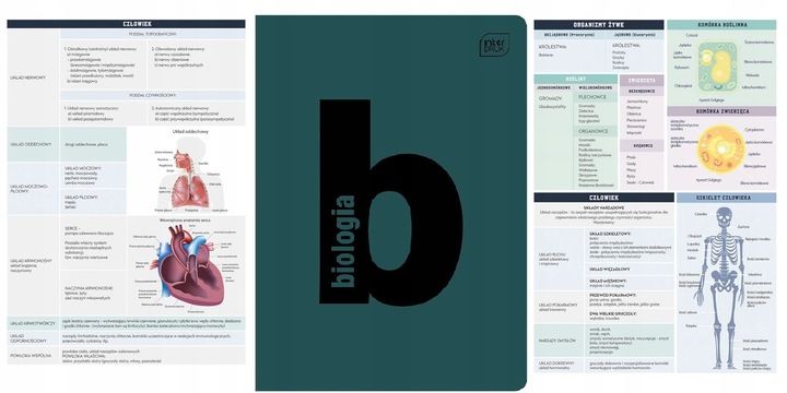 ZESTAW 10 x ZESZYTY PRZEDMIOTOWE ZE ŚCIĄGĄ A5/60k WZMOCNIONA OKŁADKA PP zdjęcie 7