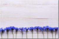 120CM 80CM OBRAZ ŚCIENNY CHABRY DESKACH