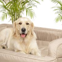 Legowisko PARADISE ekolen materac posłanie dla PSA kota, kanapa r. L