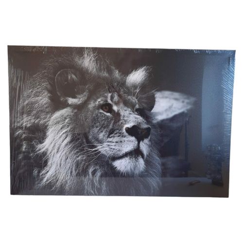 foto obraz na płótnie lew 61 x 91 cm na Arena.pl