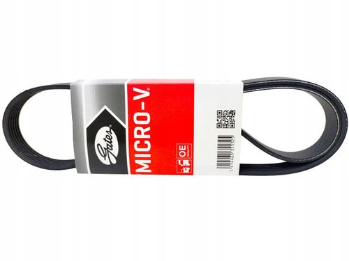 PASEK W/KLINOWY GATES na Arena.pl