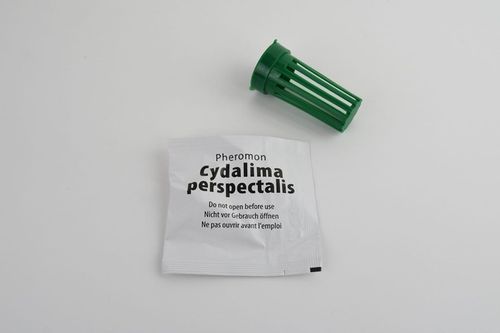TARGET PUŁAPKA NA ĆMĘ BUKSZPANOWĄ na Arena.pl