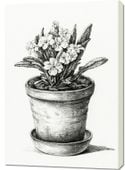 Obraz 70x100cm Roślina Doniczkowa, Jean Bernard Vintage do Salonu