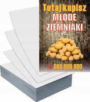 Ulotki A6 reklamowe firmowe 1000 szt projekt w cenie MŁODE ZIEMNIAKI