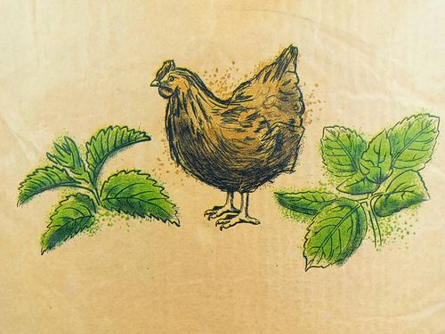 PASZA DLA KUR NIOSEK 25KG KARMA DLA KUR NIOSEK WITAMINY Z POKRZYWĄ I MIĘTĄ na Arena.pl