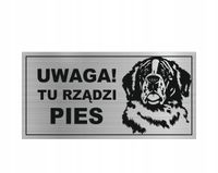 UWAGA YU RZĄDZI PIES Tabliczka ostrzegawcza laminat nierdzewna z grawerem