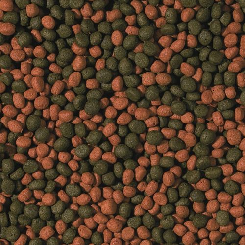 Tropical Cichlid Omnivore Medium dla średnich i dużych pielęgnic 1000ml na Arena.pl