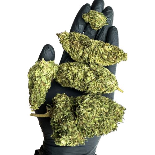 Susz konopny CBD Premafrost 10g na Arena.pl