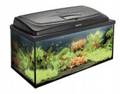 AQUAEL ZESTAW AKWARIOWY AQUA4FAMILY 80/P D&N