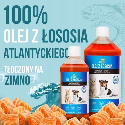 LAB V Olej z łososia dla psa i kota 5000ml 5L na Arena.pl