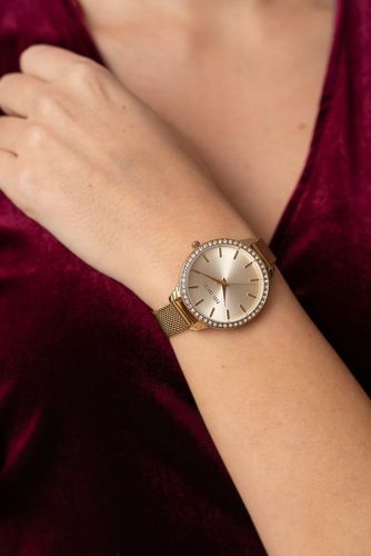 zegarek damski paul lorens pl11312b2-4d1 + box na Arena.pl