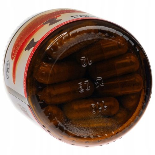 Grzyb Reishi Lakownica żółtawa 400 mg Odporność Krążenie Relaks Adaptogen na Arena.pl