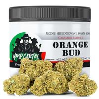 Susz konopny CBD | Orange Bud | HOLENDER | 2g