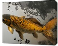 Obraz 60x50cm Spokojna Ryba Koi