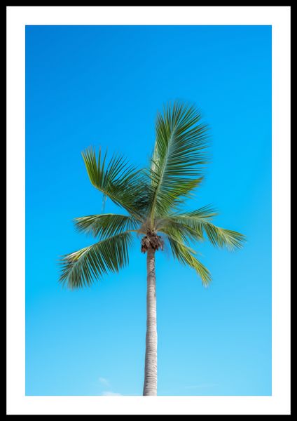 Plakat 40x60cm Wyżyny Nieba zdjęcie 3