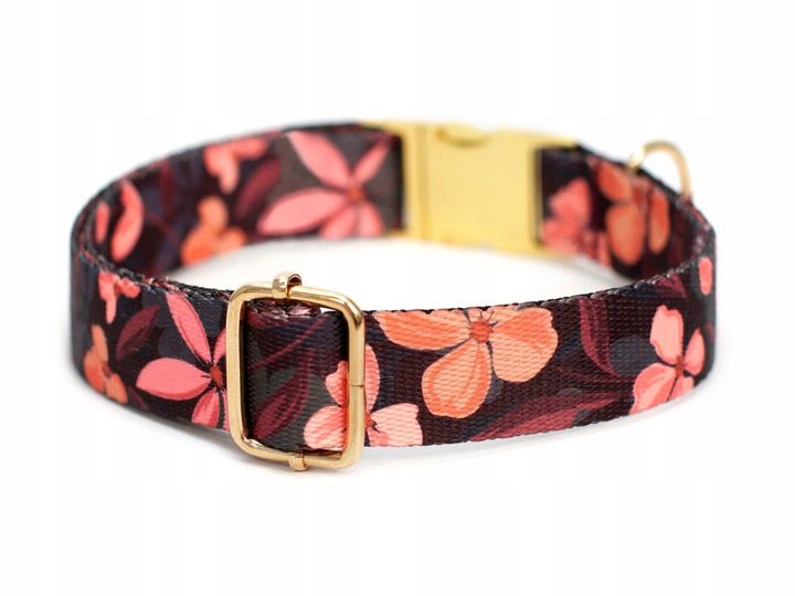 Obroża Dla Psa z Grawerem r. S zdjęcie 4